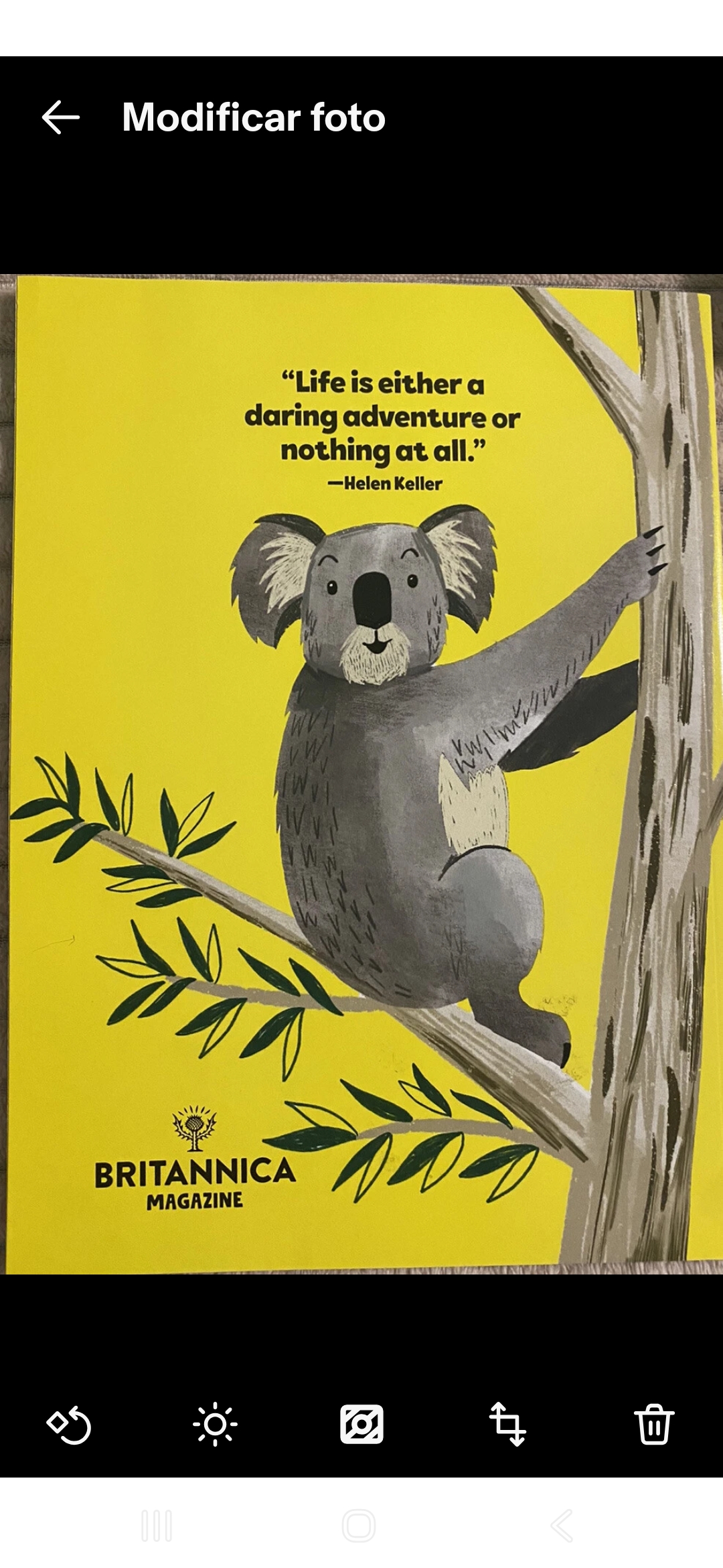 BRITANNICA MIND GAMES MAGAZINE - BRAND NEW 2023 - Image 2